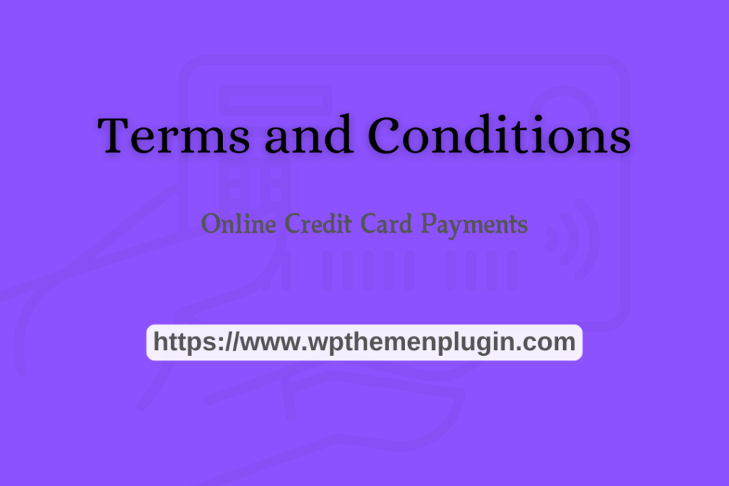 terms and conditions for credit card use on ecommerce website